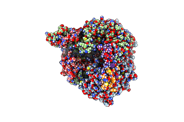8RN7 image