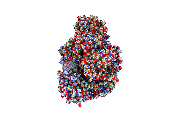8RN8 image