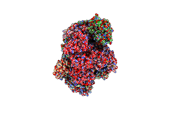 8RNA image