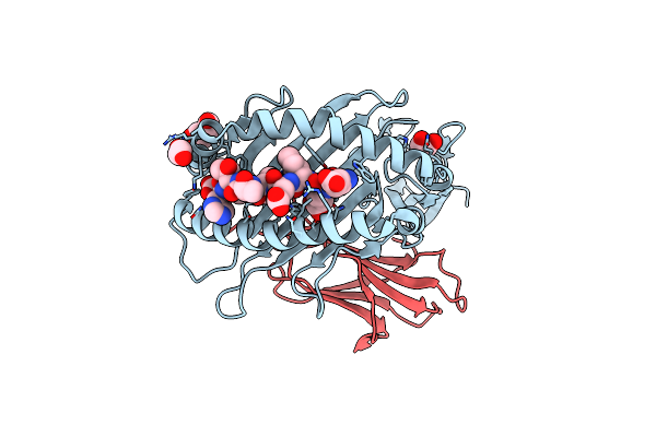 8RNH image