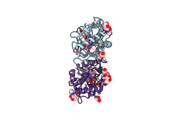 8RNJ image