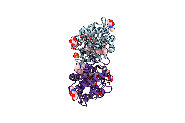 8RNK image