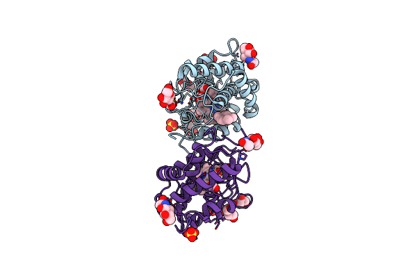 8RNP image