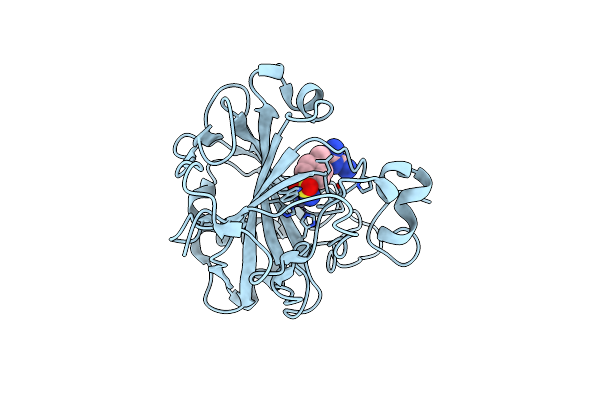 8RNS image
