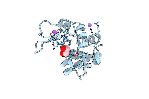 8RNX image