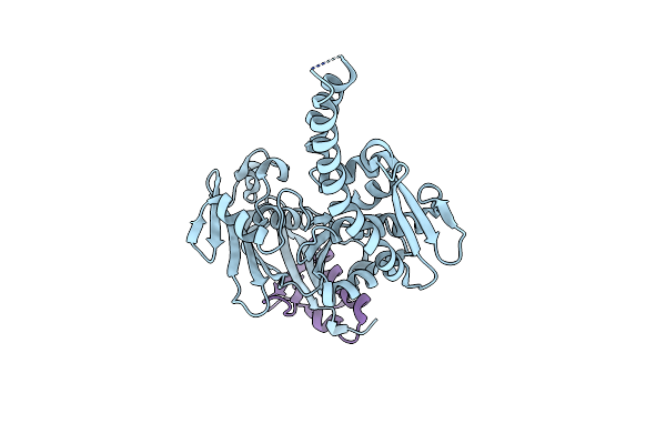 8RO8 image