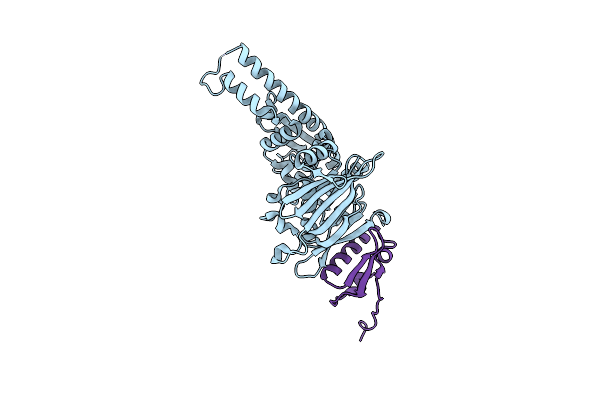 8ROC image