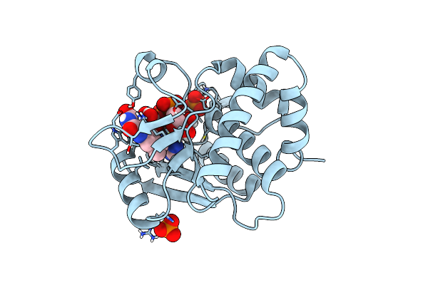 8ROM image