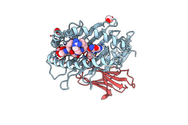 8ROP image