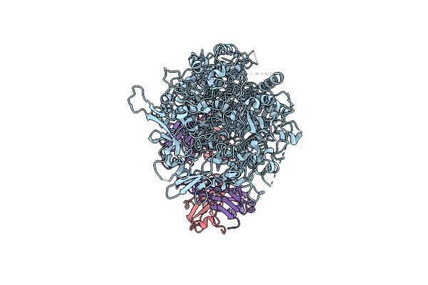 8ROR image