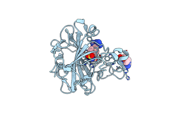 8ROW image