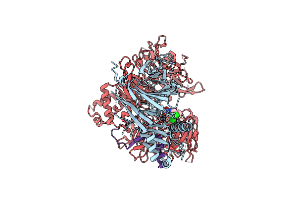 8ROX image