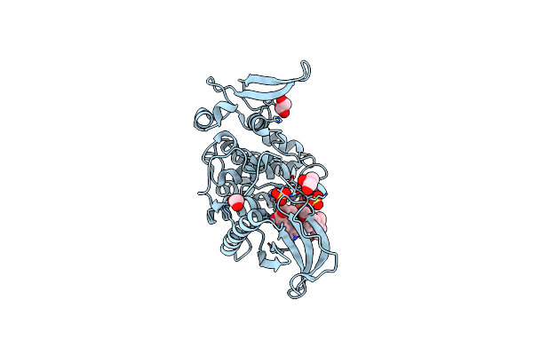 8RPC image