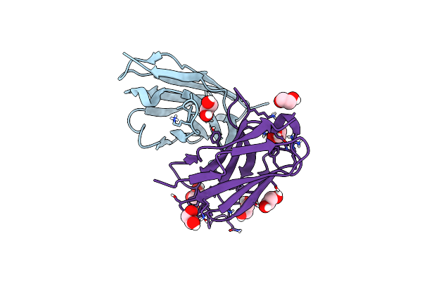 8RPE image