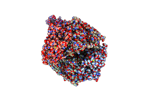 8RPH image