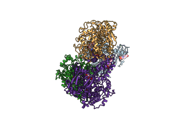 8RPL image