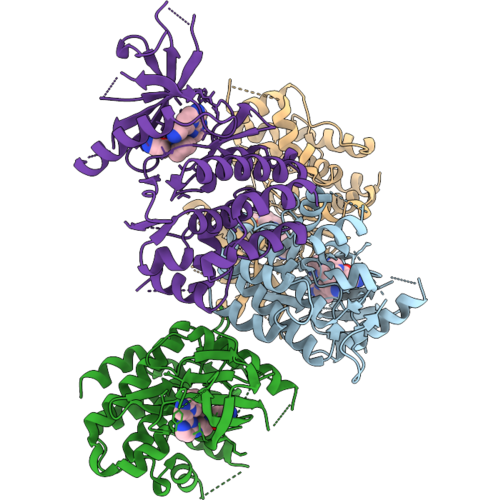 8RPN image