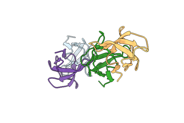 8RPP image