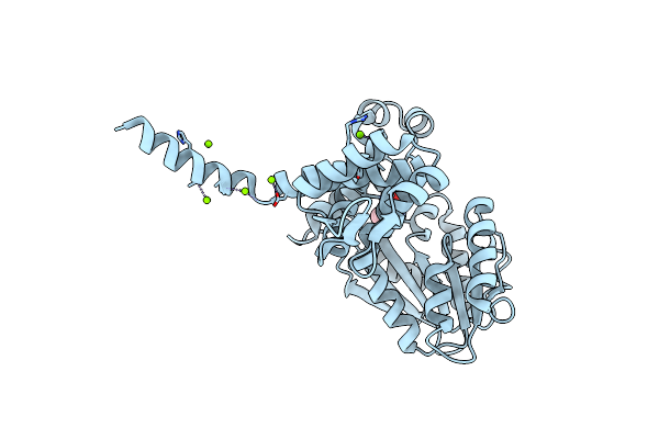 8RPR image