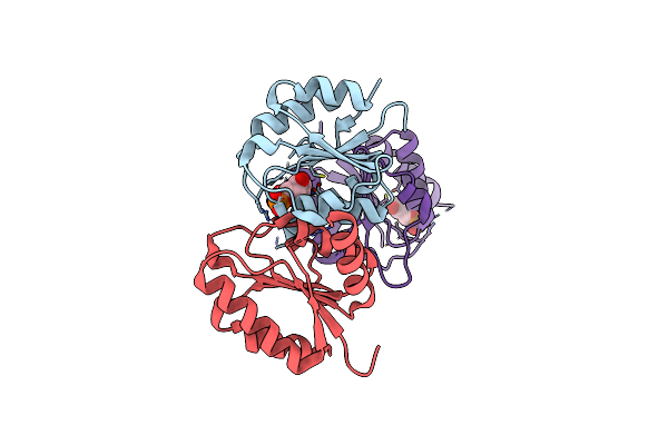 8RPS image