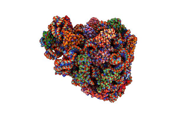 8RQ2 image