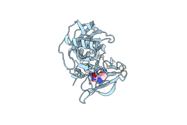 8RQA image