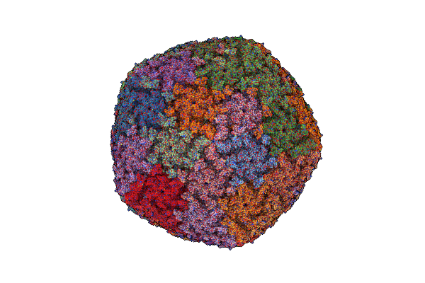 8RQE image