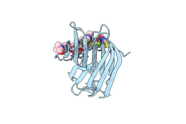 8RRB image