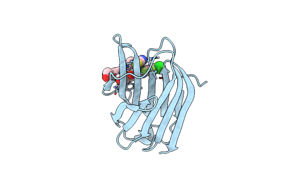 8RRC image