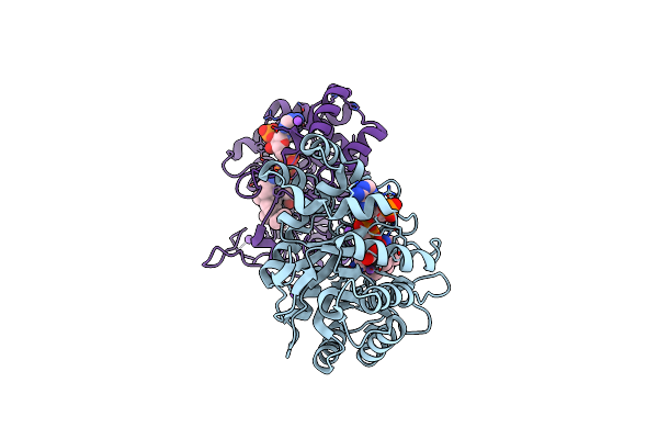 8RRJ image