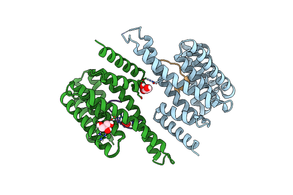 8RRL image