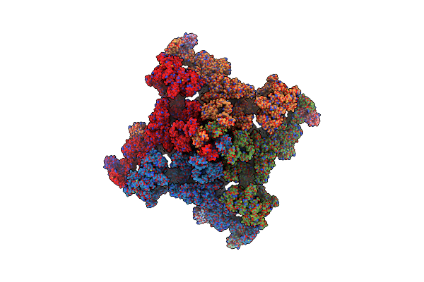 8RRU image