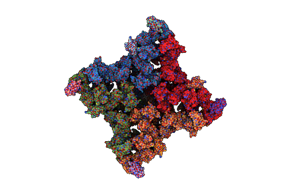 8RRV image