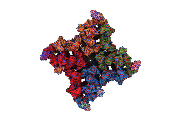 8RRW image