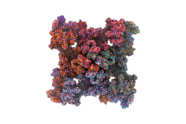 8RRX image