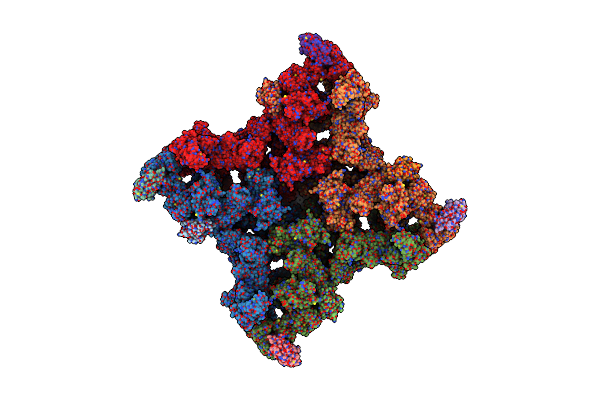 8RS0 image