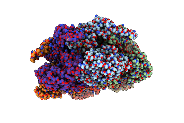 8RSB image