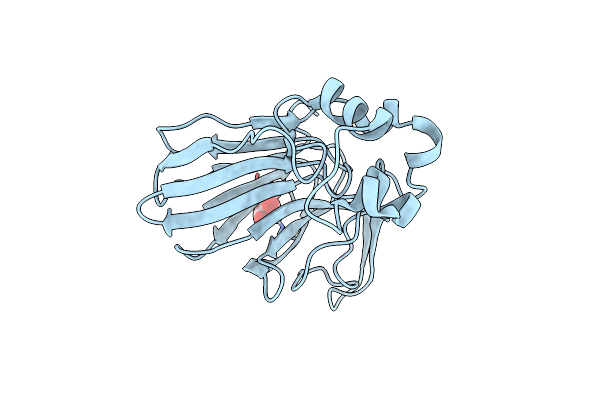 8RSD image