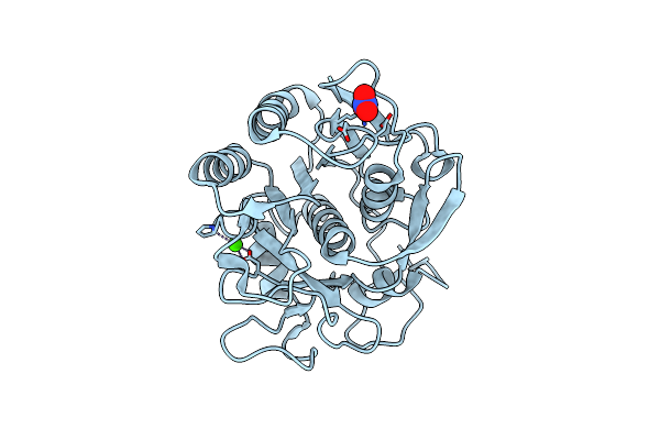 8RSE image