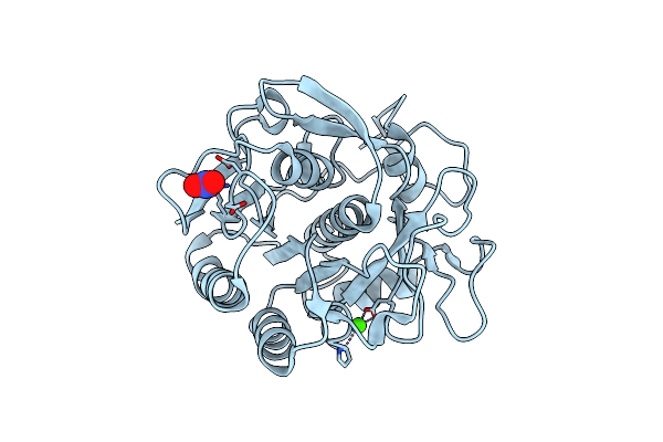 8RSF image