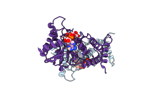 8RSJ image