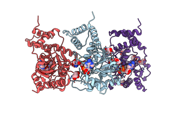 8RSK image