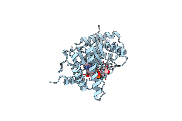 8RSM image