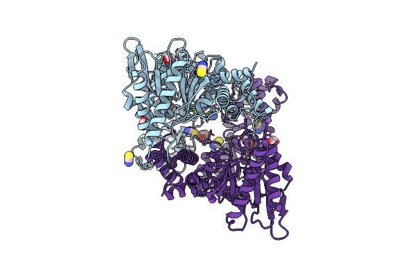8RSN image