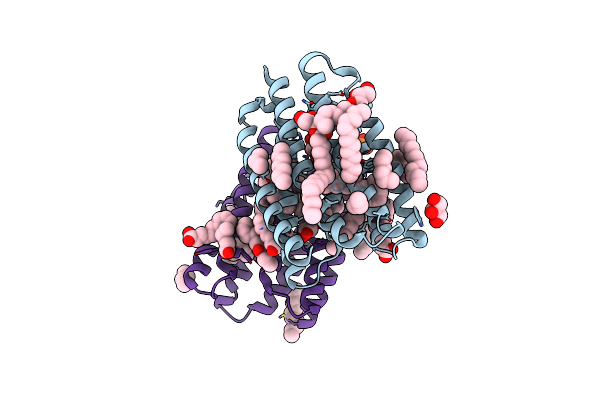 8RSO image