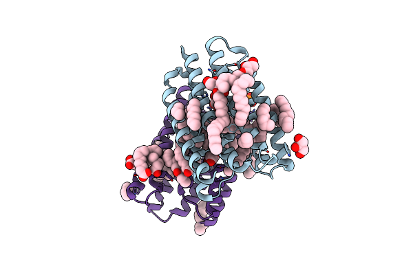 8RSP image