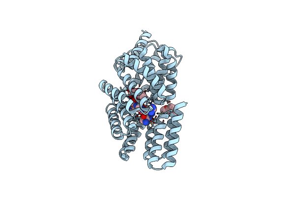 8RSU image