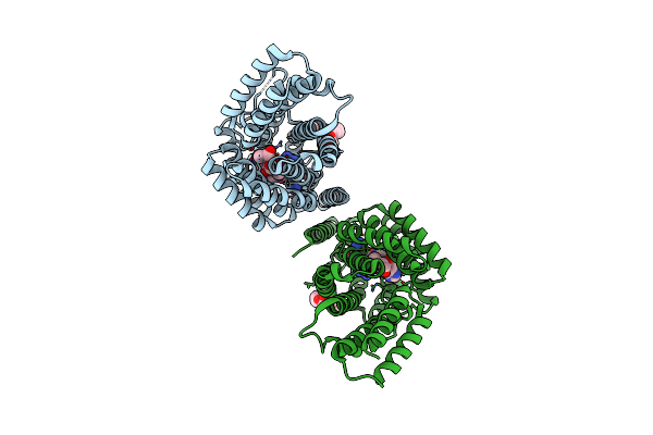8RSV image