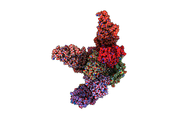 8RTD image