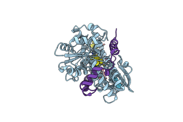 8RTI image